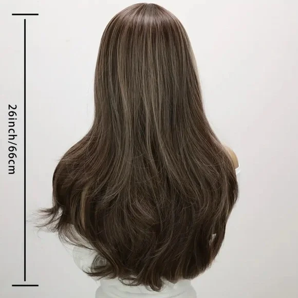 New Brown and Blonde Highlighted Wig
